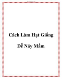 Cách Làm Hạt Giống Dễ Nảy Mầm