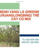 Báo cáo nghiên cứu nông nghiệp  BỆNH VÀNG LÁ GREENING (HUANGLONGBING) TRÊN CÂY CÓ MÚI 