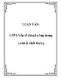 LUẬN VĂN:CSM-Yếu tố thành công trong quản lý chất lượng