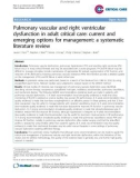 Pulmonary vascular and right ventricular dysfunction in adult critical care: current and emerging options for management: a systematic literature review