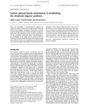 Báo cáo khoa học: Surface polysaccharide involvement in establishing the rhizobium–legume symbiosis