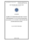 Luận án Tiến sĩ Hóa học: Nghiên cứu thành phần hoá học và hoạt tính sinh học của lá cây Giá (Excoecaria agallocha L.) và cây Đơn lá đỏ (Excoecaria cochinchinensis Lour.)