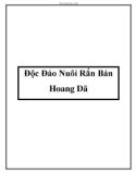 Độc Đáo Nuôi Rắn Bán Hoang Dã