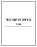 Phân Biệt Giới Tính Con Dông