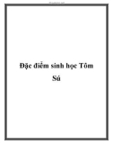 Đặc điểm sinh học Tôm Sú