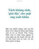 Tách kháng sinh, 'giải độc' cho mật ong xuất khẩu