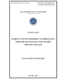 Luận án Tiến sĩ Sinh học: Nghiên cứu rươi (Nereididae: Tylorrhynchus) trong hệ sinh thái đất vùng ven biển miền bắc Việt Nam