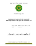 Tóm tắt Luận án tiến sĩ Nông nghiệp: Nghiên cứu sử dụng chế phẩm nguồn gốc thảo dược phòng và trị bệnh viêm tử cung bò sữa