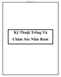 Kỹ Thuật Trồng Và Chăm Sóc Nấm Rơm