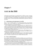 Chapter 7 - AAA in the IMS