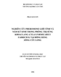 Luận án tiến sĩ Khoa học: Nghiên cứu pheromone giới tính và nấm ký sinh trong phòng trị sùng khoai lang (Cylas formicarius Fabricius) tại Đồng bằng sông Cửu Long