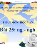 Bài giảng môn Tiếng Việt lớp 1 sách Cánh diều năm học 2019-2020 - Bài 25: ng - ngh (Trường Tiểu học Ái Mộ B)