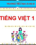 Bài giảng môn Tiếng Việt lớp 1 sách Cánh diều năm học 2020-2021 - Bài 11: b – bễ (Trường Tiểu học Ái Mộ B)