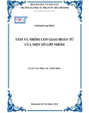 Luận văn Thạc sĩ Toán học: Tâm và nhóm con giao hoán tử của một số lớp nhóm