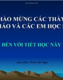 Bài giảng Sinh học 11 - Bài 31: Tập tính của động vật (Phan Kim Ngọc)