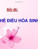 Bài giảng Sinh học - Bài 46: Cơ chế điều hòa sinh sản