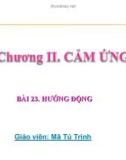 Bài giảng Sinh học 11 - Bài 23: Hướng động (Mã Tú Trinh)