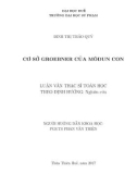 Luận văn Thạc sĩ Toán học: Cơ sở Groebner của môđun con