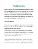 Nuôi bò sữa