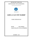 Khóa luận tốt nghiệp ngành Văn hóa du lịch: Khai thác Lễ hội hoa Tam giác mạch ở Hà Giang phục vụ phát triển du lịch