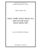 Luận án tiến sĩ Toán học: Thác triển phân hình của một số lớp hàm phân hình yếu