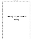 Phương Pháp Chọn Heo Giống