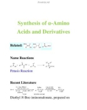 Synthesis of α-Amino Acids and DerivativesRelated