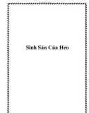 Sinh Sản Của Heo