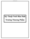 Kỹ Thuật Nuôi Rùa Sinh Trưởng Thương Phẩm