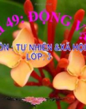 Bài giảng Động vật - Tự nhiên xã hội 3- GV. Đ.T.Lý