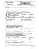 Đề thi thử THPT Quốc gia môn Sinh học năm 2019 lần 1 - Sở GD&ĐT Nghệ An - Mã đề 223