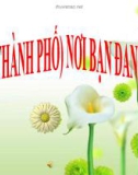 Bài giảng Tỉnh( thành phố) nơi bạn sống - Tự nhiên xã hội 3- GV. Đ.T.Lý