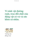 Vi sinh vật đường ruột, trao đổi chất của động vật có vú và sức khỏe cá nhân