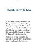 Thành và vỏ tế bào