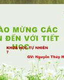 Bài giảng Sinh học 7 bài 7 sách cánh diều: Tốc độ của chuyển động