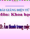 Slide bài Âm thanh trong cuộc sống - Khoa học 4 - GV.B.N.Kha