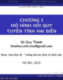 Bài giảng Kinh tế lượng: Chương 1 - Vũ Duy Thành