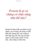 Protein là gì và chúng có chức năng như thế nào?