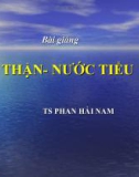 Thận - nước tiểu