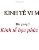 Bài giảng Kinh tế vi mô: Chương 5 - Lê Phương