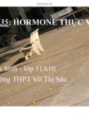 Bài giảng Sinh học lớp 11 bài 35: Hormone thực vật