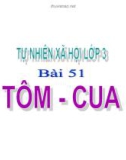 Slide bài Tôm cua - Tự Nhiên Xã Hội 3 - GV.H.T.Minh