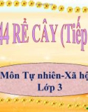 Bài 44: Rễ cây (TT) - Bài giảng điện tử Tự nhiên xã hội 3 - L.K.Chi