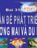 Bài giảng Địa lí lớp 12 - Bài 31: Vấn đề phát triển thương mại và du lịch