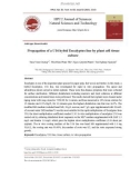 Propagation of a U16 hybid Eucalyptus line by plant cell tissue culture