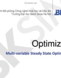 Bài giảng Optimizer: Multi-variable Steady State Optimizer