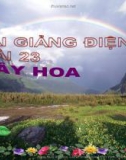 Bài giảng TNXH 1 bài 23: Cây hoa