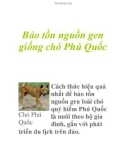 Bảo tồn nguồn gen giống chó Phú Quốc