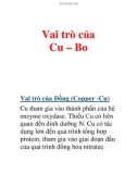 Vai trò của Cu – Bo