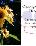 Bài giảng Khoa học đất - Chương 6: Trao đổi ion